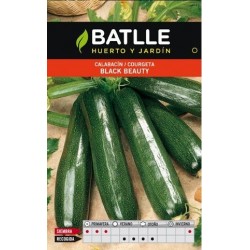 CALABACIN BLACK BEAUTY ECO