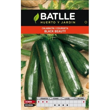 CALABACIN BLACK BEAUTY ECO