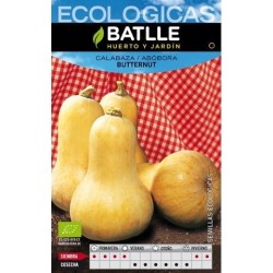 CALABAZA BUTTERNUT ECO