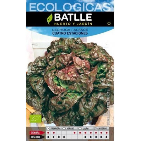 LECHUGA CUATRO ESTACIONES ECO