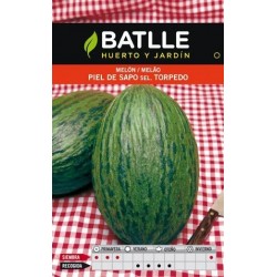 MELON PIEL DE SAPO ECO