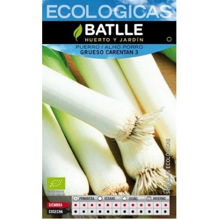 PUERRO GRUESO DE CARENTAN ECO