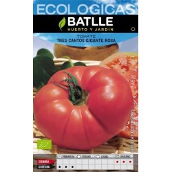 TOMATE TRES CANTOS GIGANTE ROSA ECO
