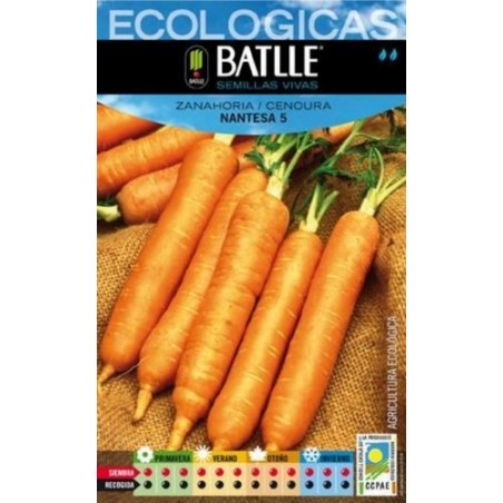 ZANAHORIA NANTESA ECO
