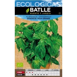 ALBAHACA GENOVESA, HOJA GRANDE ECO