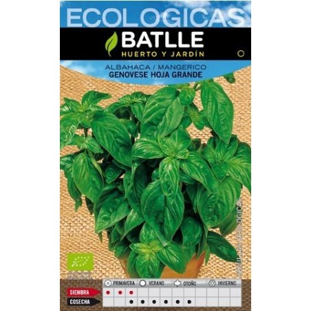ALBAHACA GENOVESA, HOJA GRANDE ECO