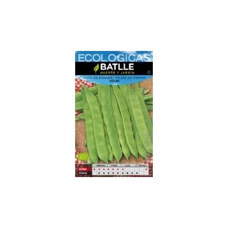 JUDIA HELDA ECO