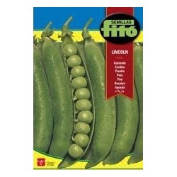 GUISANTE LINCOLN (250 grs)