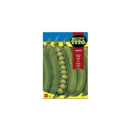 GUISANTE LINCOLN (250 grs)