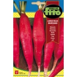 RABANITO MURCIANO L.ROJO