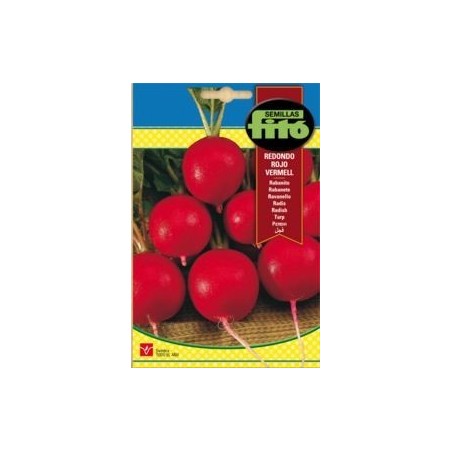 RABANITO RED. VERMELL