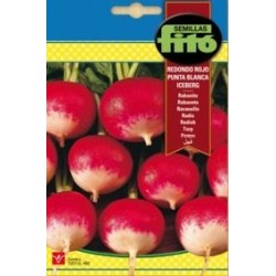 RABANITO RED. ICEBERG