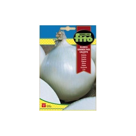 CEBOLLA BLANCA