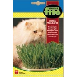 HIERBA PARA GATOS