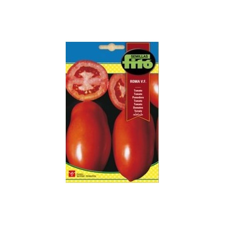 SEMILLAS G-TOMATE ROMA V.F