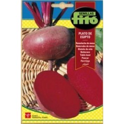 SEMILLAS G-REMOLACHA DE MESA