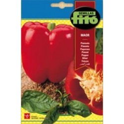 SEMILLAS G-PIMIENTO MAOR