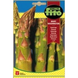 SEMILLAS G-ESPARRAGO MARY W.