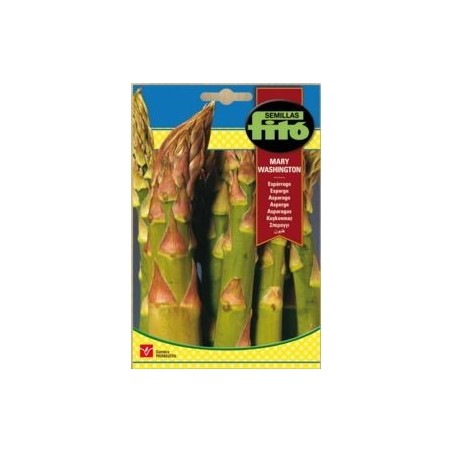 SEMILLAS G-ESPARRAGO MARY W.