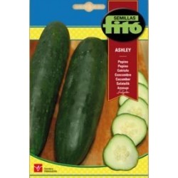 SEMILLAS G-PEPINO ASHLEY
