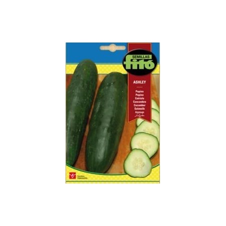 SEMILLAS G-PEPINO ASHLEY