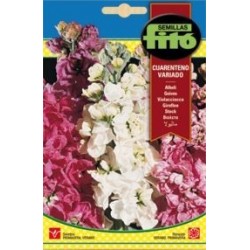 ALHELI CUARENT. VAR.