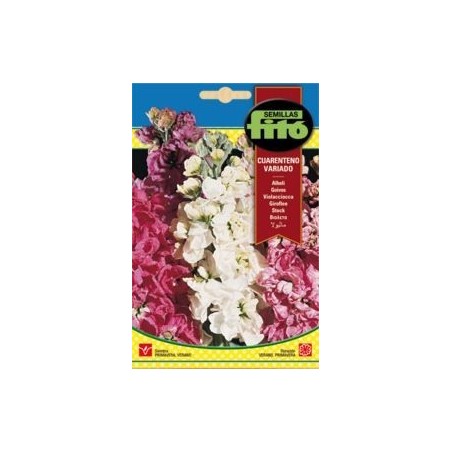 ALHELI CUARENT. VAR.