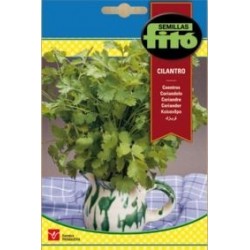 CILANTRO