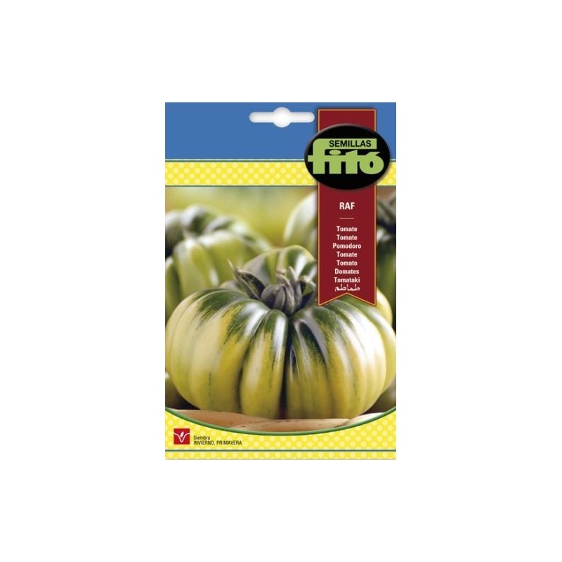 SEMILLAS G-TOMATE MARMANDE RAF SEMILLAS G-TOMATE MARMANDE RAF