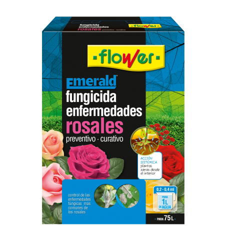 ENFERMEDADES ROSALES FLOWER