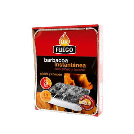 BARBACOA INSTANTEA 1 SOLO USO