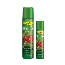 NATURAL PLANT SHINE 600 ML