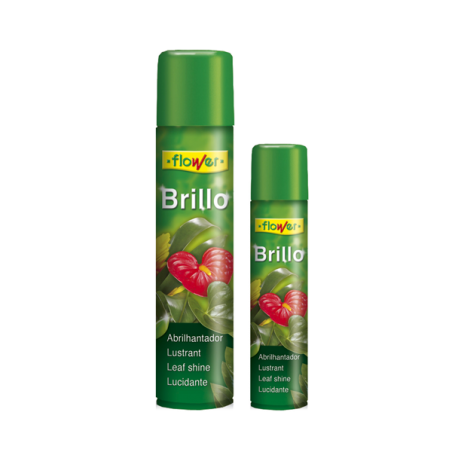 BRILLO PLANTA NATURAL 600 ML FLOWER