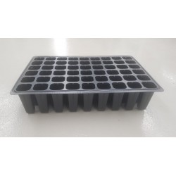 Do you need a semperviven cypress? Visit our catalogue