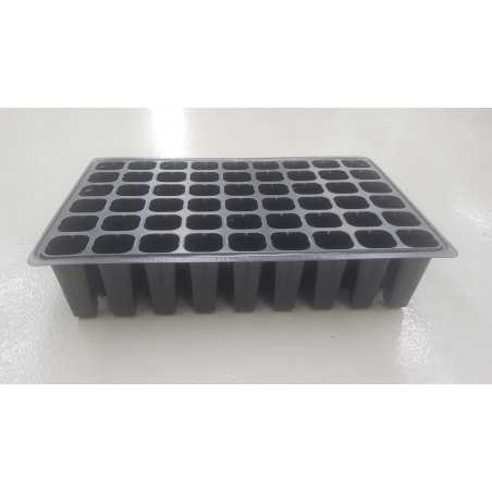 Do you need a semperviven cypress? Visit our catalogue