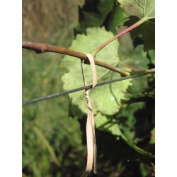 Stofix animated wire 15cm