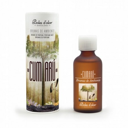 BE 50 ml ICEBERG AMBIENT BRUMAS