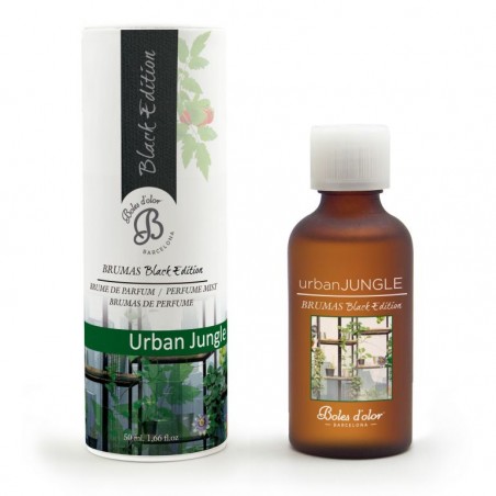 BE 50 ml ICEBERG AMBIENT BRUMAS