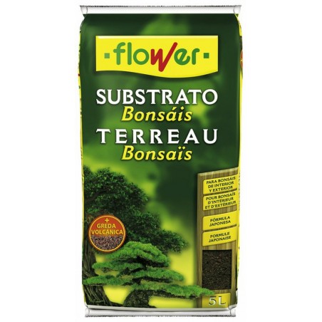SUB BONSAIS 05L PACK(6)