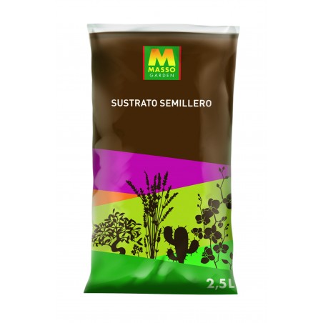 SEEDLING 2.5 L MASSO