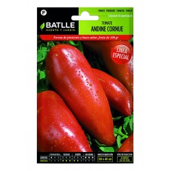 TOMATE ANDINA CORNUE (SEMILLAS)