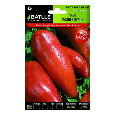 TOMATE ANDINA CORNUE (SEMILLAS)