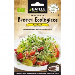 ALFALFA SPROUTS - ECHO