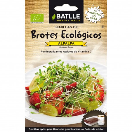 ALFALFA SPROUTS - ECHO