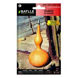 copy of SEMILLAS G-PEPINO ASHLEY