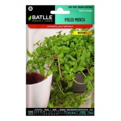 Poleo-Menta (Semillas) | El Huerto Deitana ®