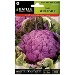 copy of SEMILLAS G-PEPINO ASHLEY