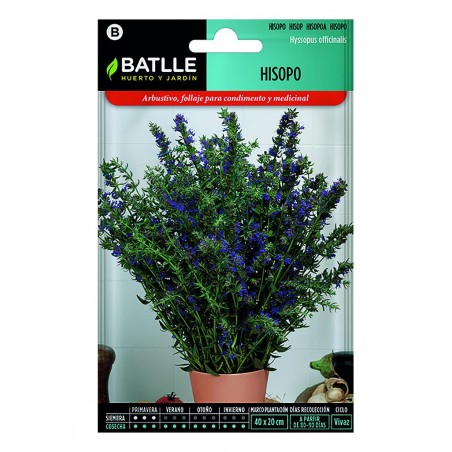 Hisopo (Semillas) | El Huerto Deitana ®