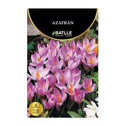 AZAFRAN 7/8 (SEMILLAS)