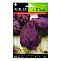 S-ARTICHOKE PURPLE ROMAGNA